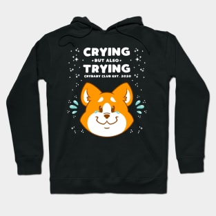 Cryin’ and Tryin’ Hoodie